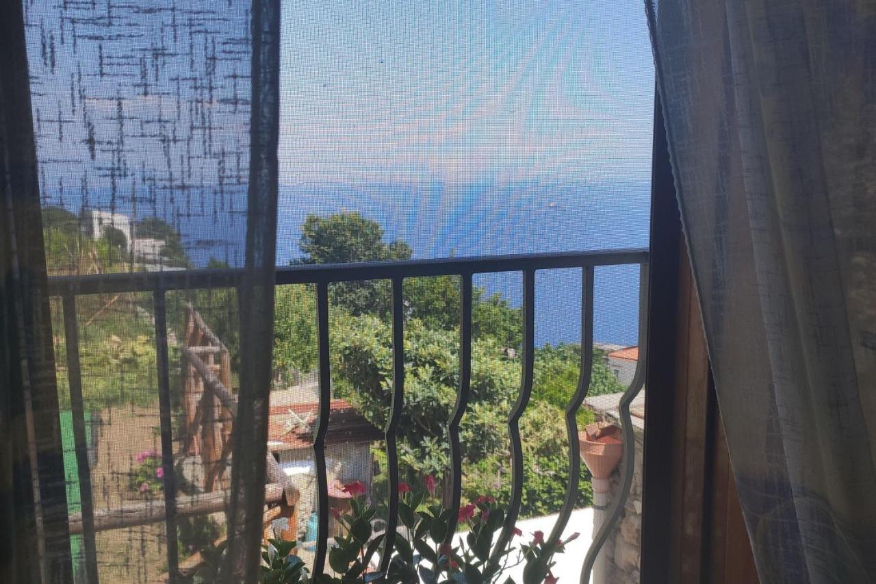 Il Piccolo Sogno In Costiera Amalfitana Villa Conca dei Marini Dış mekan fotoğraf