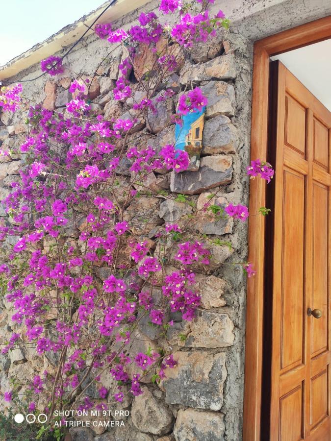 Il Piccolo Sogno In Costiera Amalfitana Villa Conca dei Marini Dış mekan fotoğraf